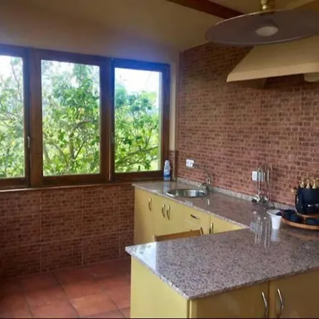 La Casa Del Kiwi , Casa Rural Asturias Argüero