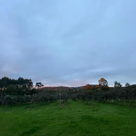 La Casa Del Kiwi , Casa Rural Asturias Argüero
